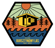 Camp Bursztynowy Las